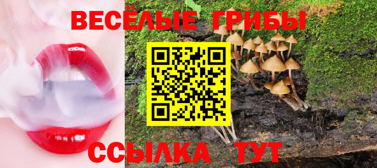 Галлюциногенные грибы Cubensis  Вход с VPN  Галлюциногенные грибы Magic Shrooms  Камышлов 