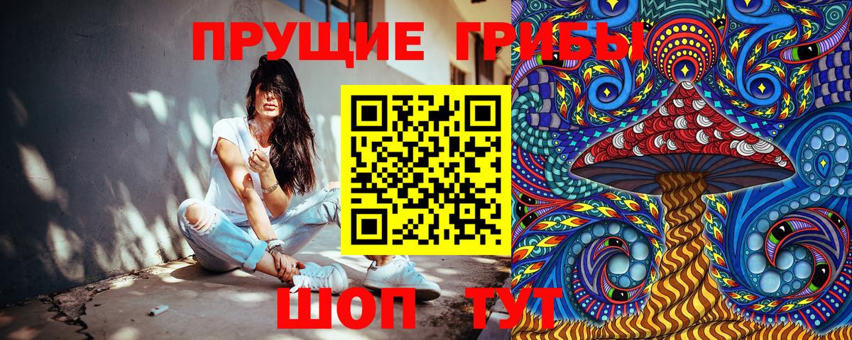 Псилоцибиновые грибы Psilocybe Камышлов